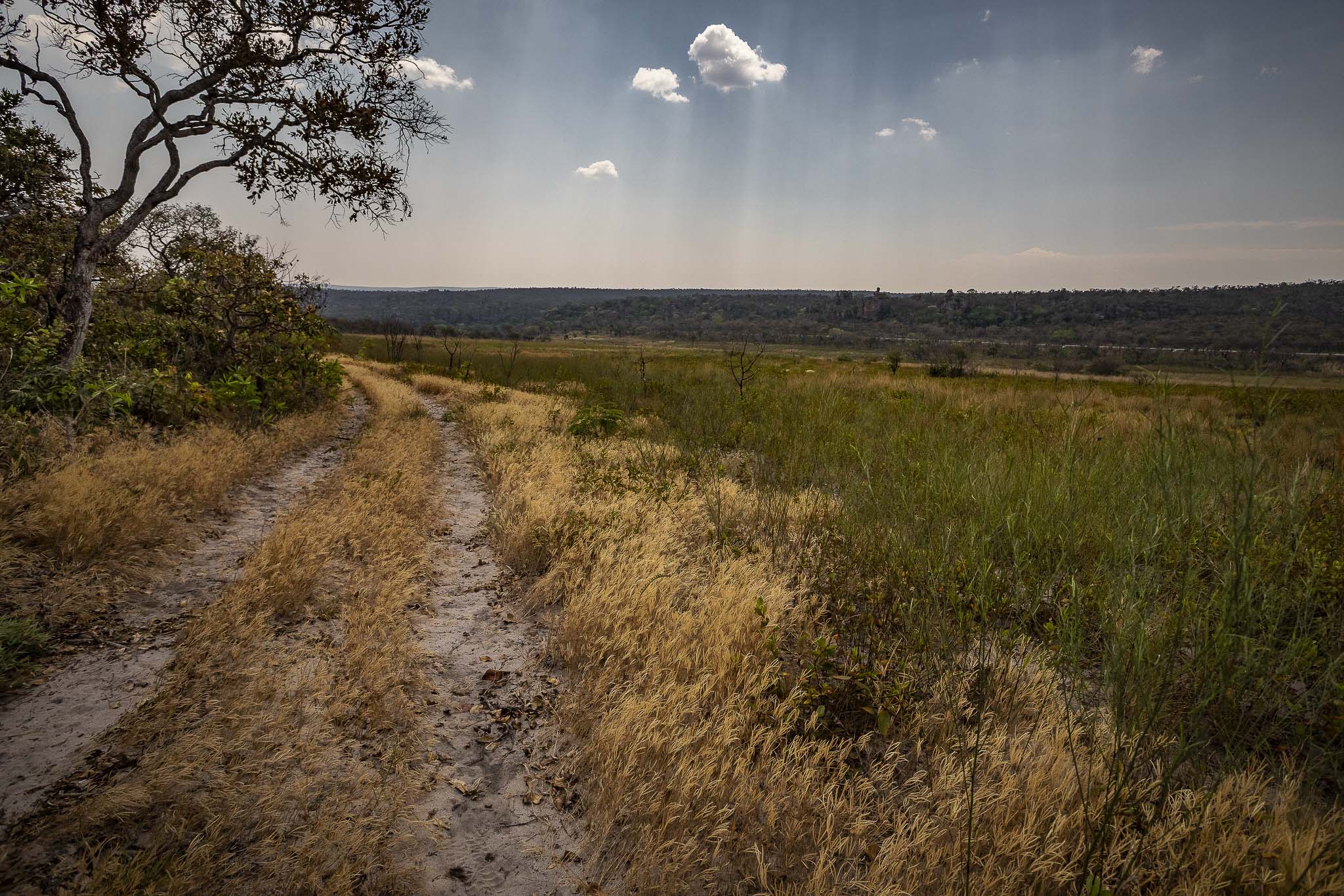 Imagem Expedição Chap Guim - ESEC Serra das Araras--36 da expedição de expedicoes/araras_25
